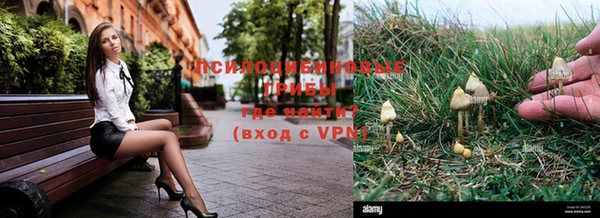 стафф Вязники