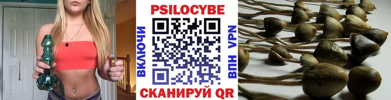 Галлюциногенные грибы ЛСД  Купить закладки  Губкин 